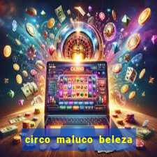 circo maluco beleza recife circo maluco